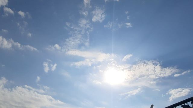28.07.26 г. Андижанская порода голубей (1) смотреть онлайн