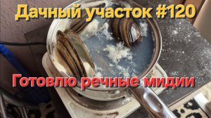 Дачный участок #120 РЕЧНЫЕ МИДИИ | ДАЧНАЯ ЖИЗНЬ