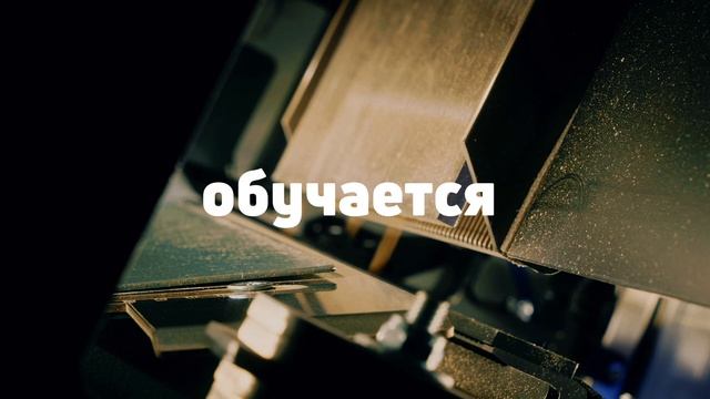🤖 Фотосепаратор Дарвин: чему именно обучается искусственный интеллект?