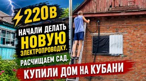 Начали делать новую электропроводку. Расчищаем САД. КУПИЛИ ДОМ НА КУБАНИ #6