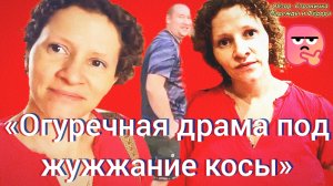 28-07-2026«Огуречная драма под жужжание косы»