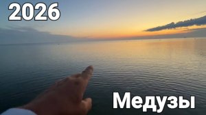 Встречаем Рассвет на море. Нашествие медуз продолжается
