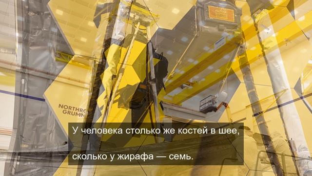 Просмотр уникальных видеороликов часть 14.