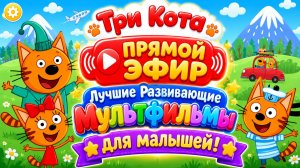 🔴🐱 ТРИ КОТА  ПРЯМОЙ ЭФИР 24/7! 🌈 ЛУЧШИЕ РАЗВИВАЮЩИЕ МУЛЬТФИЛЬМЫ ДЛЯ МАЛЫШЕЙ