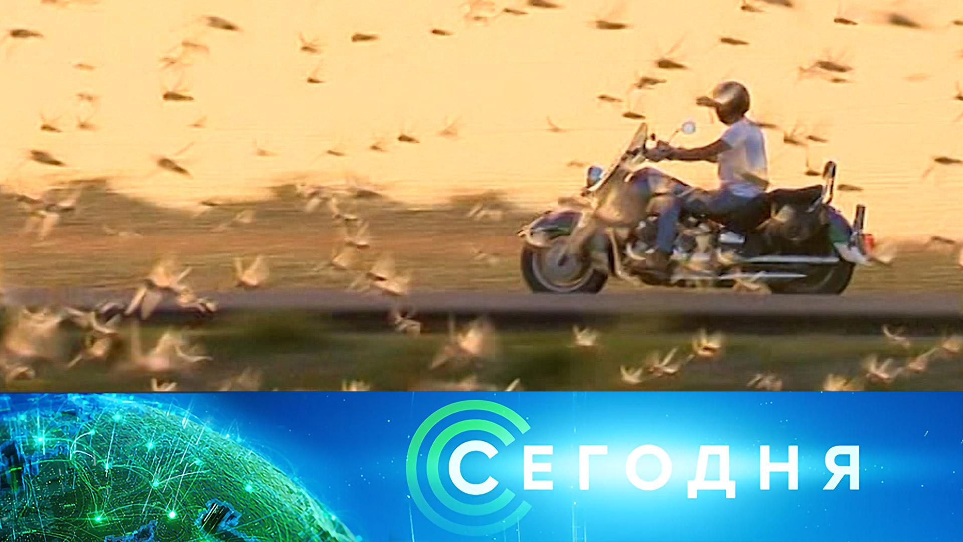 «Сегодня»: 28 июля 2026 года. 08:00 | Выпуск новостей | Новости НТВ смотреть онлайн