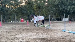 Мое выступление в конном спектакле