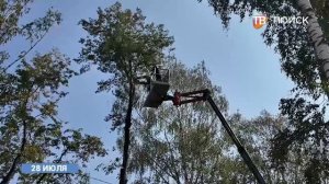 Сотрудники «Клинского городского хозяйства» наводят порядок в округе
