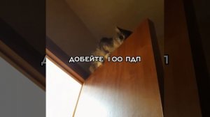 сделайте что написанно
