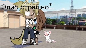 их день)(они подружились)