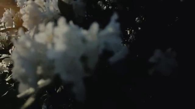 Christian Löffler - Haul (feat. Mohna) смотреть онлайн
