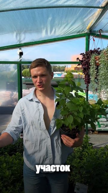 3 главных секрета 🤫