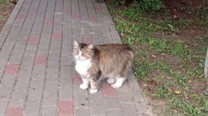 Приятный маршрут