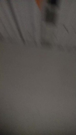 ововол