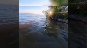 Серьёзный подход к рыбалке от Рыбака Валерия