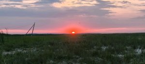 ехехеххе
