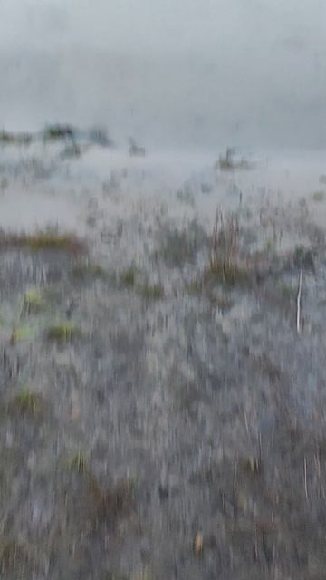 28-07-2026
