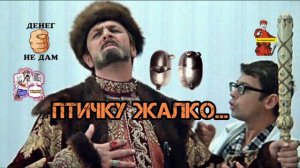 ПТИЧКУ ЖАЛКО... 💥💥💥
