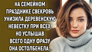 Истории из жизни|На семейном празднике|Аудио рассказы|Аудиокниги слушать онлайн|Жизненные истории