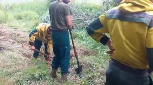 За неделю в Томской области потушили 38 лесных пожаров