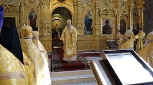 Проповедь митрополита Никодима. День памяти равноап. князя Владимира. Рязань, 2026 г.