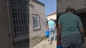 У нас атака клещей. Дезинфекция территории