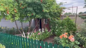 Урожай радует// лечо с баклажанами// купила джинсы// 🌺