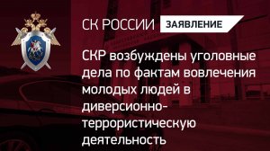 СКР возбуждены уголовные дела о вовлечении молодых людей в диверсионно-террористическую деятельность