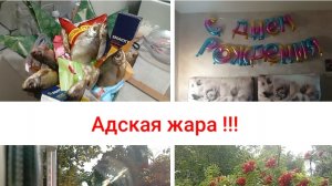 в Самаре пекло/новый маникюр/предпраздничная суета/ сюрприз к пиву