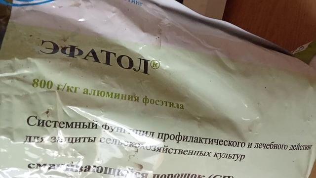 28.07.26 Готовлю торф для черенкования смотреть онлайн