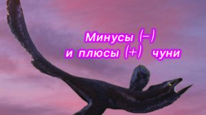 Минусы(-) и плюсы(+) чуни