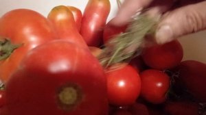 28.07.2026 год. Помидорки вкусные.