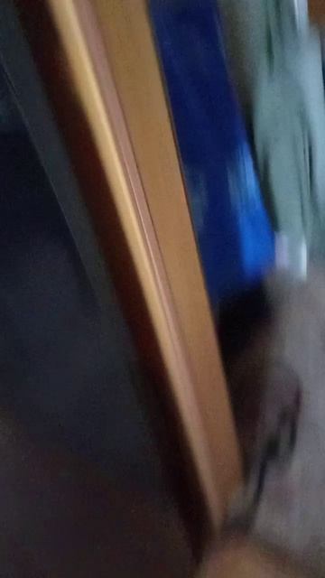 собака аааааааааа