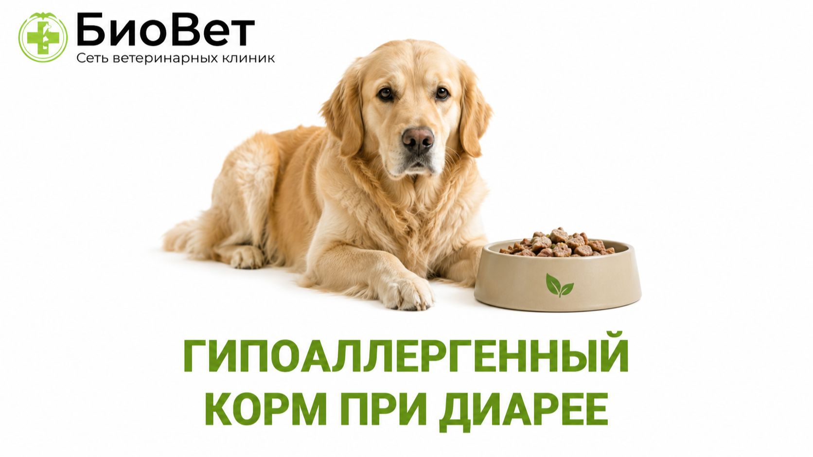 Гипоаллергенный корм при диарее