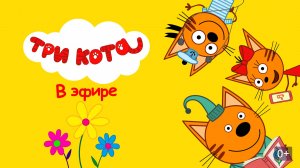 Три Кота 🐱🐱😽
