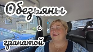 Аналитический обзор на канал Ольга Уралочка live от 28 июля 2026 года. Обезьяны с гранатой.