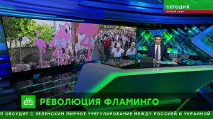 «Сегодня«_ 28 июля 2026 года. 08_00 _ Выпуск новостей _ Новости НТВ