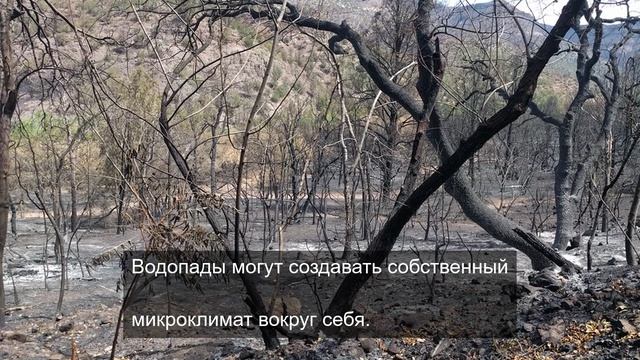 Просмотр уникальных видеороликов часть 7.
