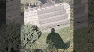 1000065741.mp4 (Собака слушает о установке внутренних уголков, комфортной вентиляции в доме А-фрейм)