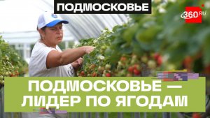 Народная программа «Единой России»: Подмосковье наращивает производство ягод