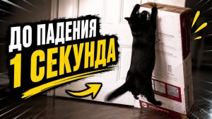 Смех до слёз: лучшие приколы №304