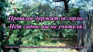 Прошлое держит за горло. Нет садов- вы не учителя!