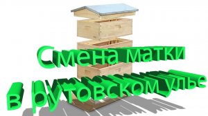 Смена маток в многокорпусных ульях Рута: особенности метода | Профессор Кашковский 🐝👑