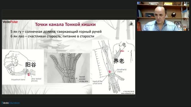 Канал Тонкой кишки синдромы дисбаланса и методы коррекции