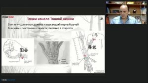 Канал Тонкой кишки синдромы дисбаланса и методы коррекции
