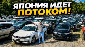Авто из Японии дешевле, чем ты думаешь! Смотри цены, Большой вывоз !