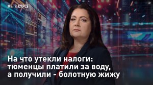 На что утекли налоги: тюменцы платили за воду, а получили - болотную жижу