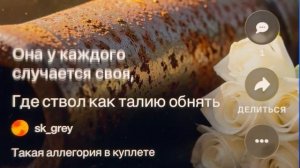 «Ствол и талия» такая аллегория в куплете