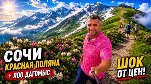#СОЧИ - ШОК ОТ ПЛЯЖА В ЛОО 😲 КРАСНАЯ ПОЛЯНА- ЦЕНЫ УДИВЛЯЮТ. СТОИТ ЛИ ЕХАТЬ СЮДА ЛЕТОМ? СЕЗОН 2026