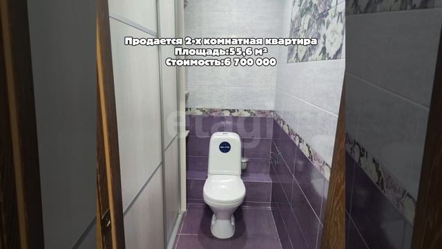 10513568