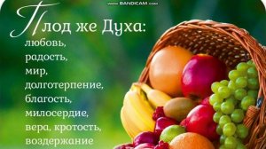 2🌈ЧТО ПРОИСХОДИТ КОГДА ТЫ ПОЛНОСТЬЮ УМИРАЕШЬ ДЛЯ СЕБЯ? В ТЕБЕ ОТКРЫВАЕТСЯ РАДОСТЬ В СЛУЖЕНИИ ЛЮДЯМ!